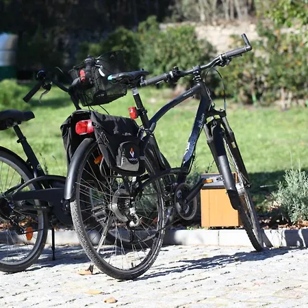 Casas Do Pinheiro Grande Сasa de vacaciones *