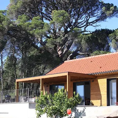 Casas Do Pinheiro Grande *