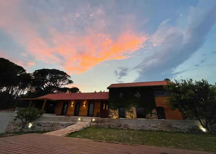 Casas Do Pinheiro Grande Ferienhaus *