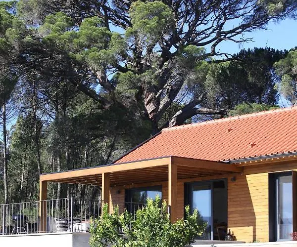 Casas Do Pinheiro Grande *